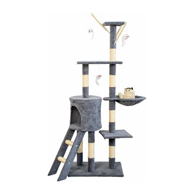 Slēpti dobu kaķu koki