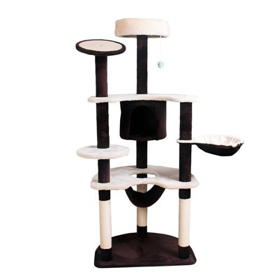 Izturīgākie kaķu koki